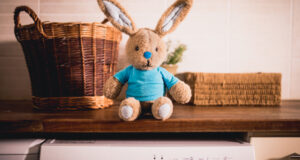 A toy rabbit in a blue t-shirt sits on top of a wooden workbench. Baskets are seen to either side of the toy. The top of a washing machine and tumble dryer can be seen below the workbench. Featured image for the '5 surprising energy wasting items in your home' blog.