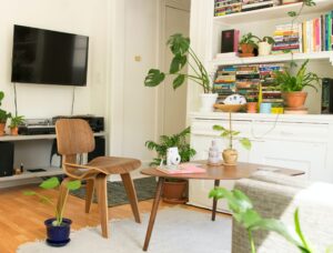 A colourful and bright living interior with an array of house plants, a bookcase and a wooden coffee table and chair. Image used in the How to make a rental house a home blog post.