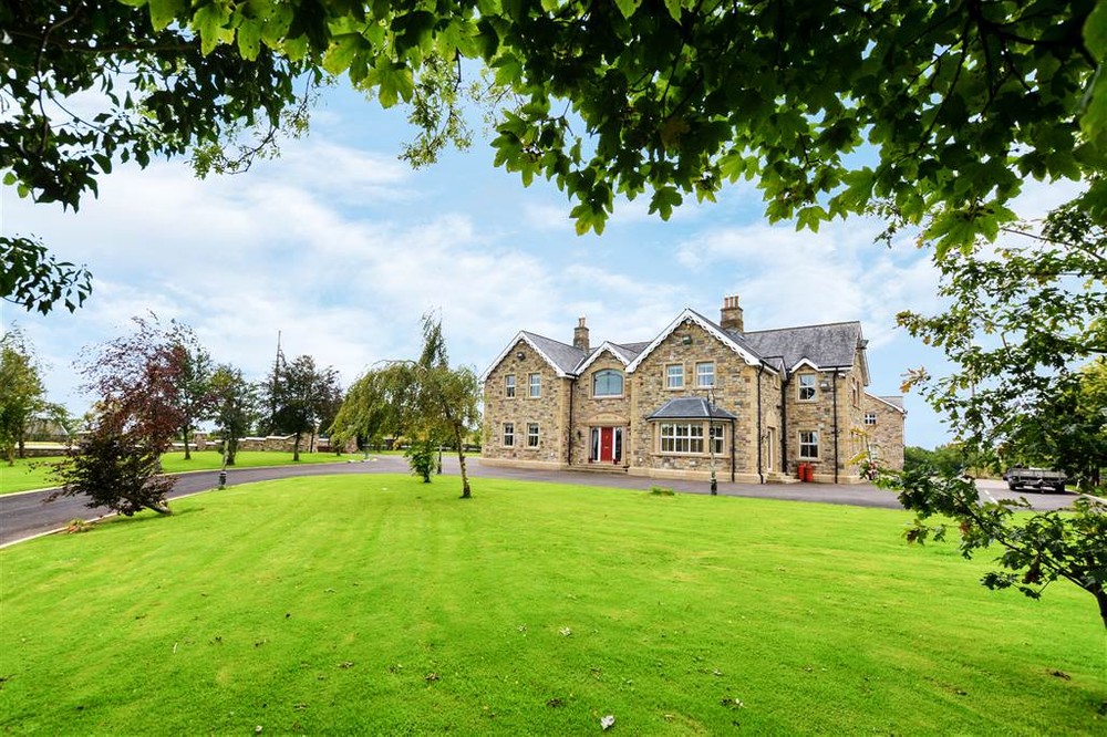 The exterior of 28 Cullenramer Road. This is a large, detached house for sale in County Tyrone. A sweeping tarmac driveway leads to the front of the house. Neat lawns can be seen to either side of the driveway. An array of trees are placed on the lawns.