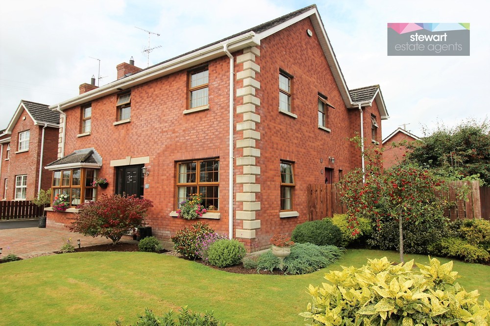Detached houses for sale in Northern Ireland